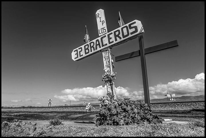 Davis Bacon:  photographs from the edge 28 - BROCCOLINI HARVESTERS