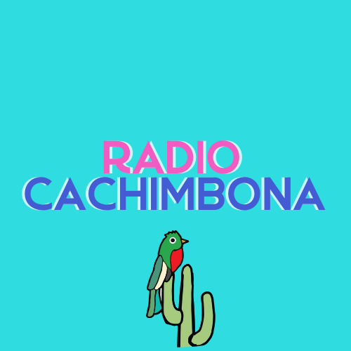 AALS Panel on Deportation, Due Process, and Dignity -- Courageous and Multi-Faceted. Radio Cachimbona • Radio