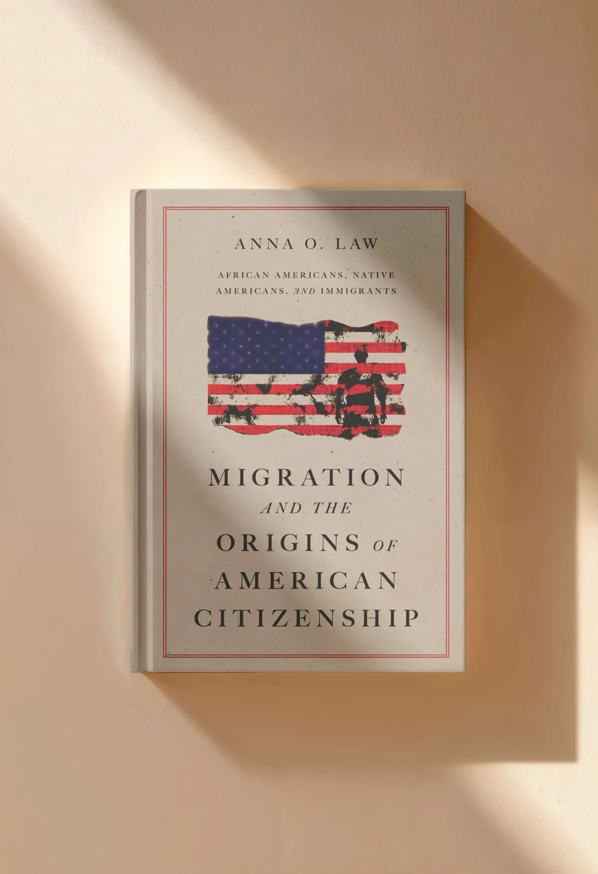From the Bookshelves:  Migration and the Origins of American Citizenship by Anna O. Law