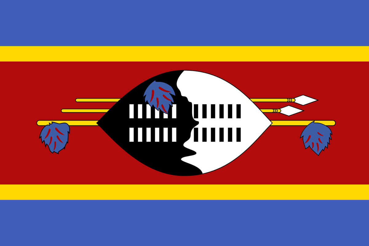NYT Video Interview of Cuban National Deported from US to Eswatini