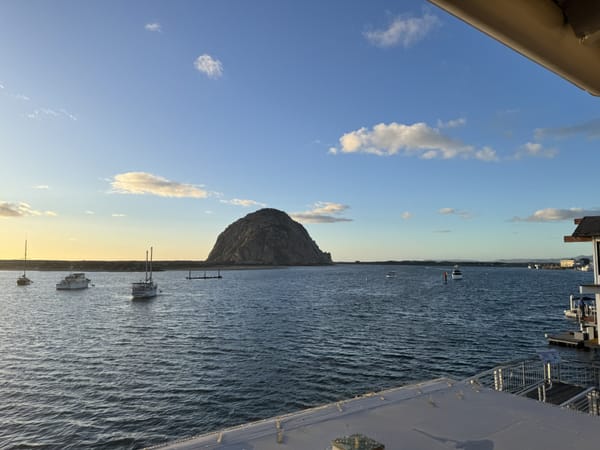 2025 Ends with Immigration Operations on Central Coast of California, Racial Profiling Alleged