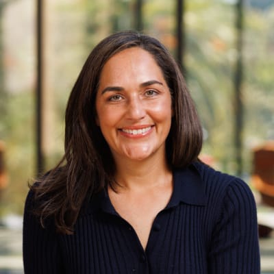 Article of the Day: Jennifer Chacón's State Courthouses in the ICE Age