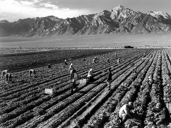 The Fight Over Farmworker Wages